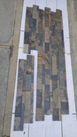 Indian Autumn - Image 2