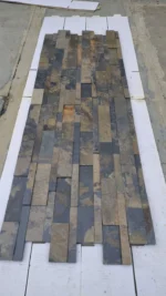 Indian Autumn - Image 3