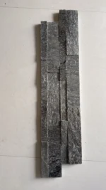 Silver Shine - Image 2