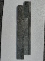 Silver Shine - Image 5